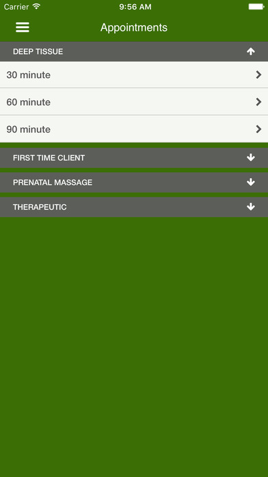 Green Leaf Massage Center screenshot 3