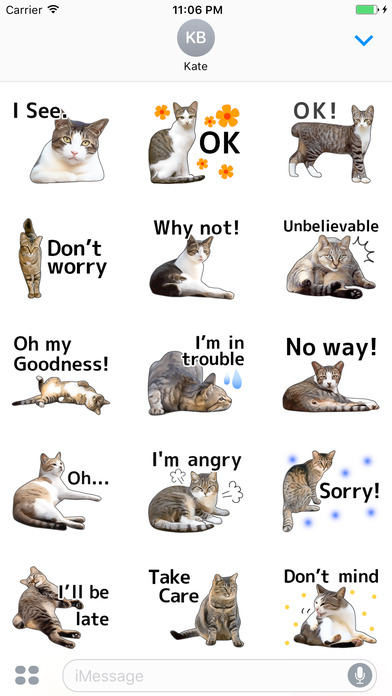 Cats and English phrases screenshot 2