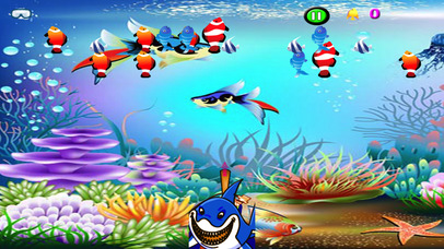 A Small Fished Fish Pro - A Underwater Fishing screenshot 2