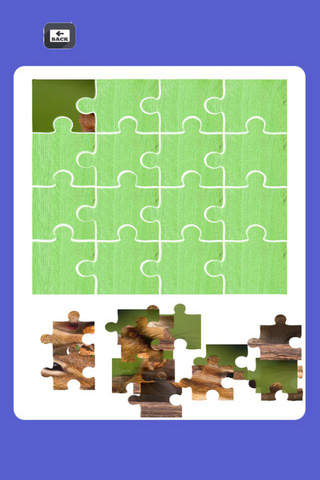 Top Chipmunk Puzzle for Jigsaw Game screenshot 2