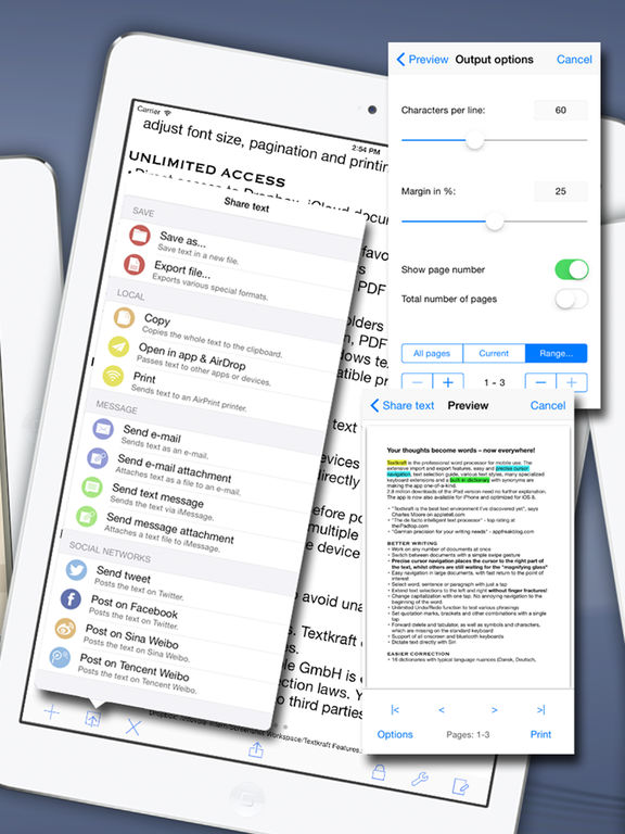 iPad Screenshot 4