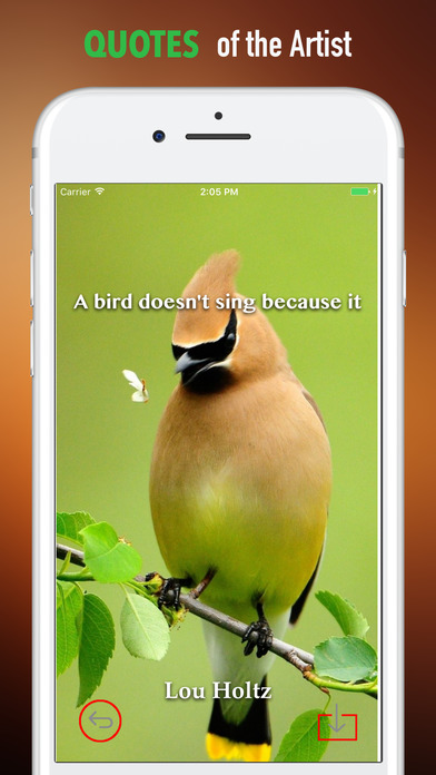 Songbirds Wallpapers HD-Quotes and Art Pictures screenshot 4