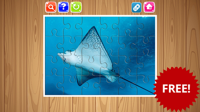 Ocean Animal Jigsaw Puzzle Free For Kids and adult screenshot 3