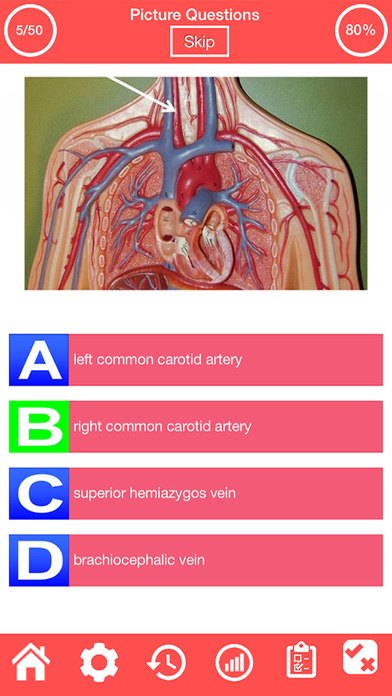 Cardiovascular System Quiz screenshot 2