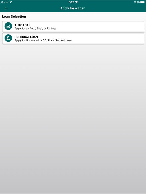 iPad Screenshot 5