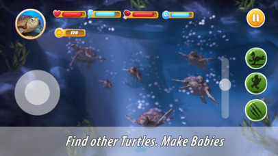 Turtle Family Simulator Full screenshot 2