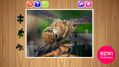 Bug And Insect Jigsaw Puzzle Game For Kids Toddler screenshot 2