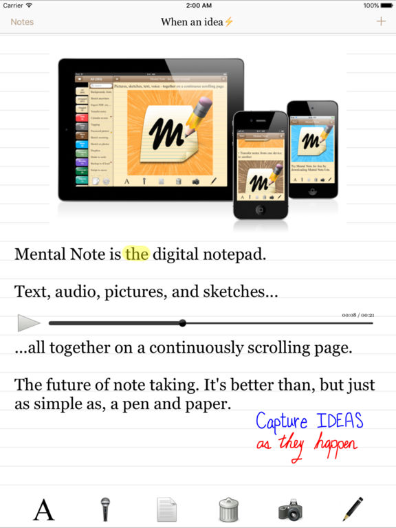 iPad Screenshot 1