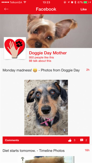 Doggie Day Mother screenshot 4