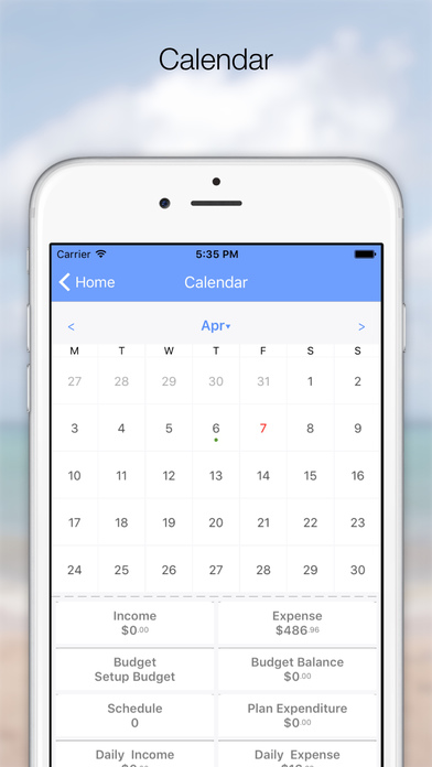 DailyDebit - Calendar screenshot 2