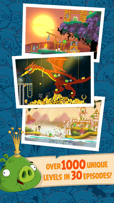 iPhone Screenshot 5