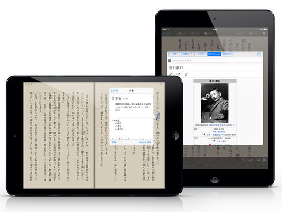 iPad Screenshot 3