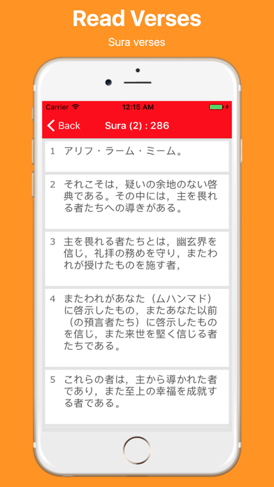 Japanese Quran and Easy Search screenshot 2
