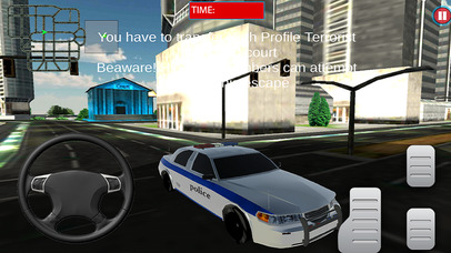 Crazy Police Crime Chase screenshot 2
