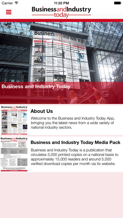 Business And Industry Today screenshot 4