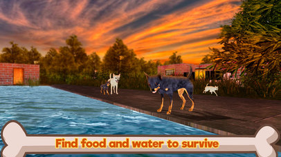 Chihuahua Dog Survival Simulator 3D screenshot 2