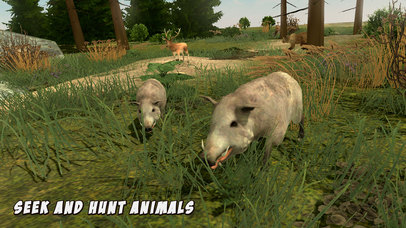 Bow Arrow Archery Animal Hunting Sim screenshot 2