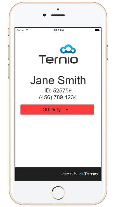 Ternio Switch screenshot 3