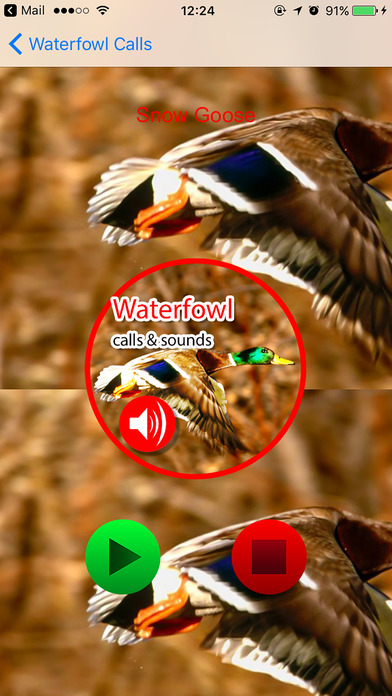 Waterfowl Real Hunting Calls & Sounds screenshot 3