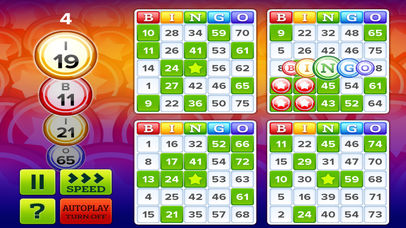 Get Bingo Classics Now! screenshot 3