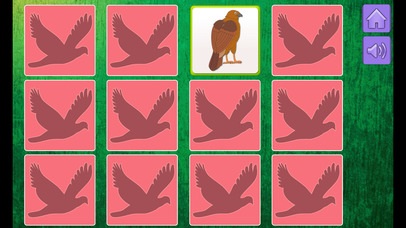 Birds Game for Children screenshot 4