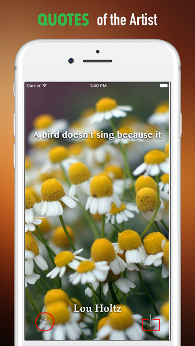 Chamomile Wallpapers HD-Quotes and Art Pictures screenshot 4
