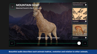Animals Evolution - A Visual Guide to Evolution screenshot 4
