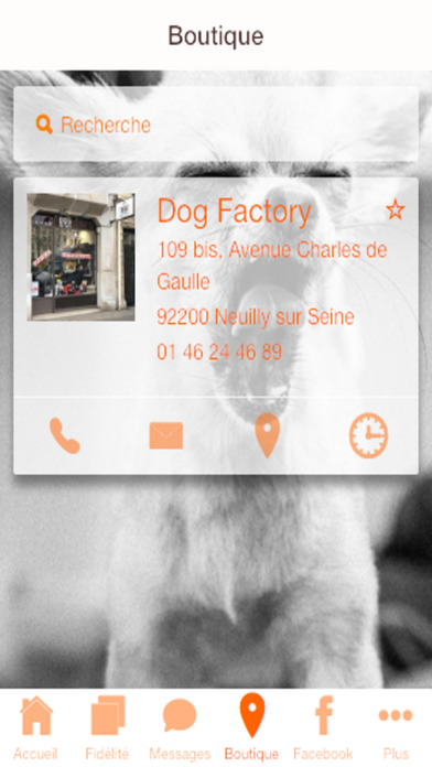 Dog Factory screenshot 2