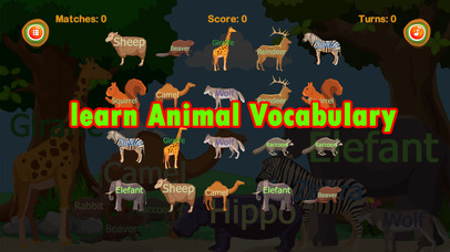 Matching king : animal english vocabulary memory screenshot 3