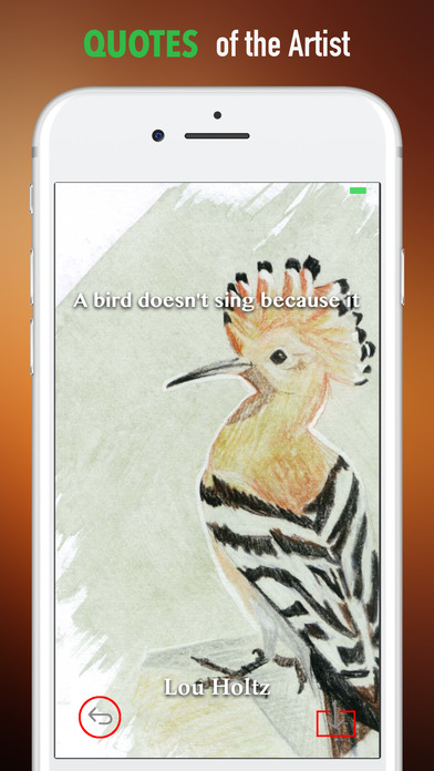 Hoopoe Wallpapers HD- Quotes and Art screenshot 4