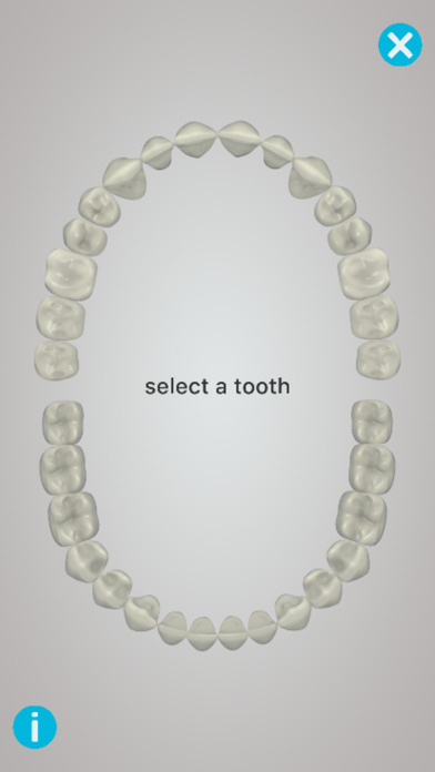 Dental Corpus Anatomy screenshot 2