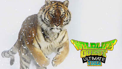 Wildlife Quest Ultimate Tiger screenshot 2