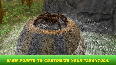 Tarantula Spider Simulator 3D Full screenshot 4