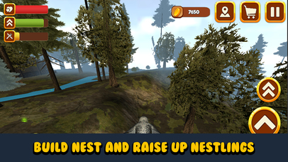 Wild Owl Bird Survival Simulator screenshot 3