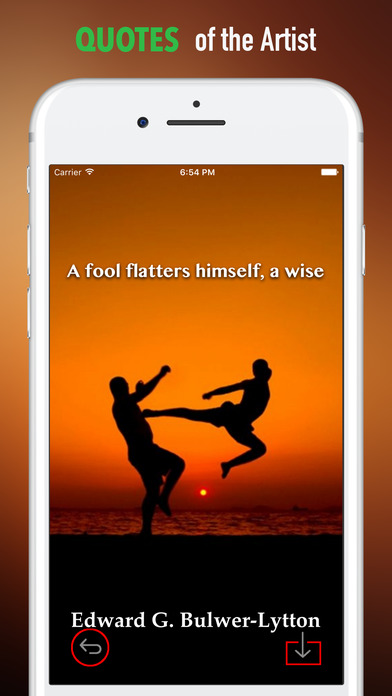Taekwondo Wallpapers HD-Quotes and Art Pictures screenshot 4