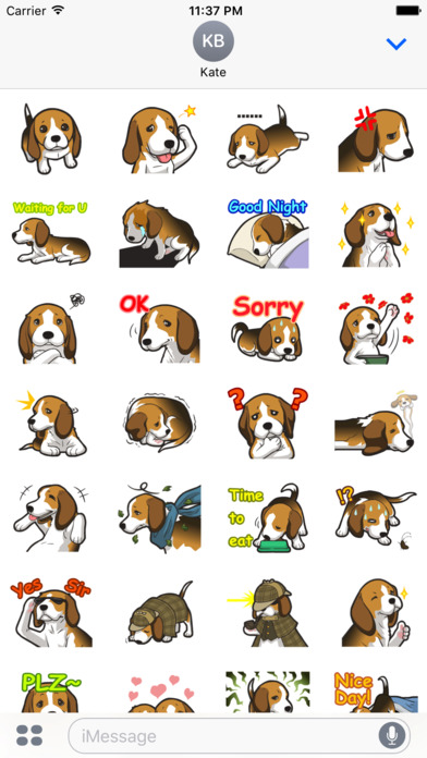 Stickers Dog Beagle screenshot 3