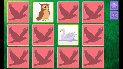 Birds Game for Children screenshot 3