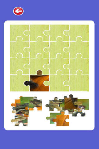 Puzzle Chipmunk Jigsaw Educational screenshot 2