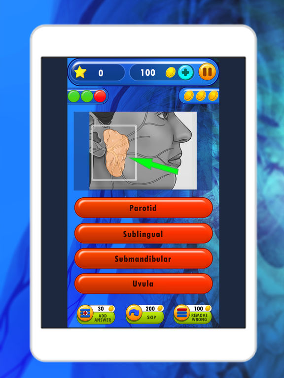 organs of the body quiz