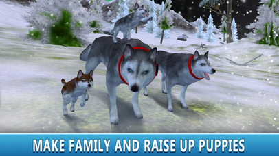 Husky Snow Dog Simulator 3D screenshot 2