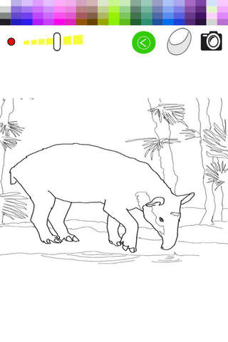 Paint and Drawing Tapir - For Kids screenshot 2
