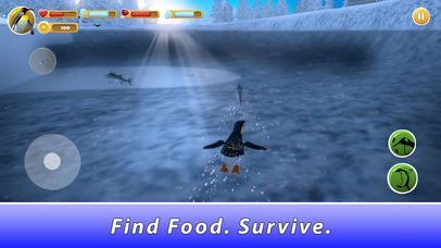 Penguin Family Simulator Full screenshot 3