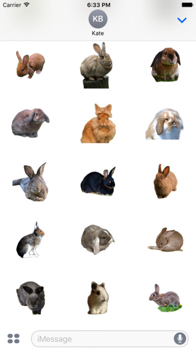 Rabbit photo sticker screenshot 3