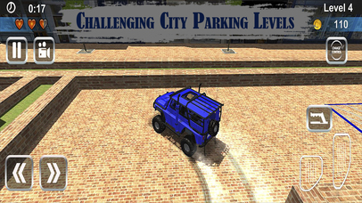Traffic Drive and Parking Test: Real 3D Simulator screenshot 2