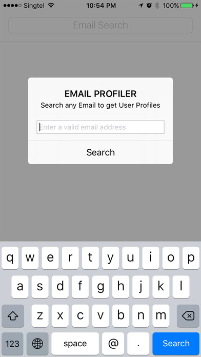 Email Profiler screenshot 2