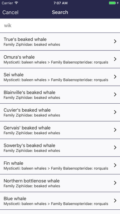 Whale Species: The Complete Compendium screenshot 4