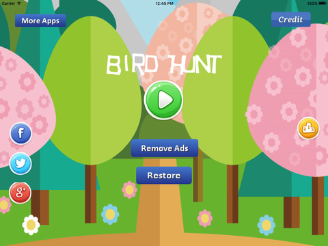 Bird Hunt - hunt flying bird in the dark Games Flying Bird