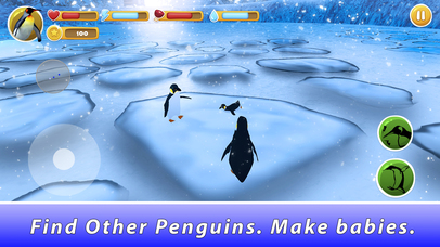 Penguin Family Simulator screenshot 2