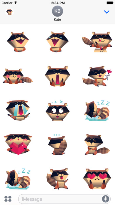 Little Raccoon Stickers screenshot 2