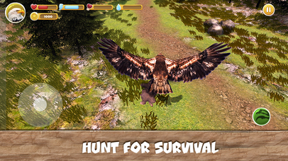 Wild Bird Survival Simulator screenshot 3